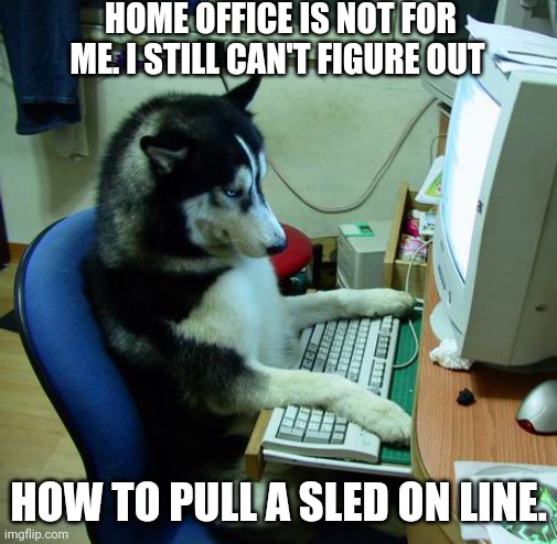 Home Office | HOME OFFICE IS NOT FOR ME. I STILL CAN'T FIGURE OUT; HOW TO PULL A SLED ON LINE. | image tagged in memes,i have no idea what i am doing | made w/ Imgflip meme maker