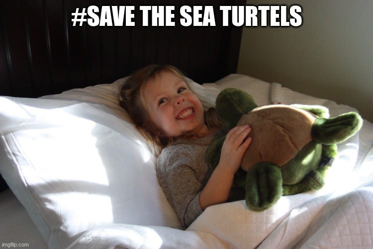 #save the sea turtels | #SAVE THE SEA TURTELS | image tagged in funny | made w/ Imgflip meme maker