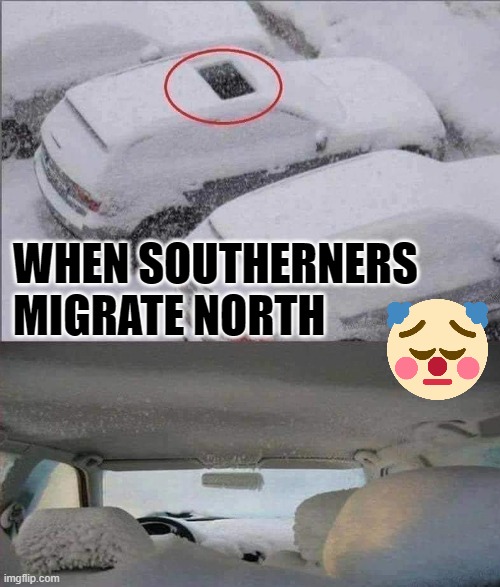  WHEN SOUTHERNERS MIGRATE NORTH | image tagged in winter,north,south,sunroof | made w/ Imgflip meme maker