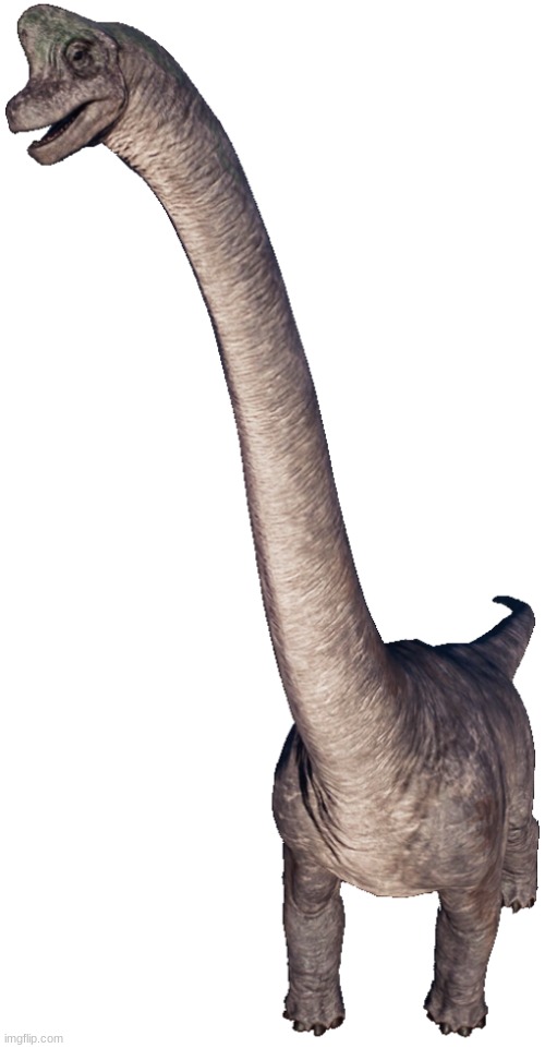 Brachiosaurus 5 | image tagged in brachiosaurus 5 | made w/ Imgflip meme maker