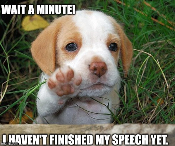 Wait a minute | WAIT A MINUTE! I HAVEN'T FINISHED MY SPEECH YET. | image tagged in dog puppy bye | made w/ Imgflip meme maker