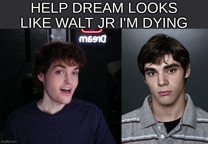 HELP DREAM LOOKS LIKE WALT JR I'M DYING | image tagged in walter white jr | made w/ Imgflip meme maker