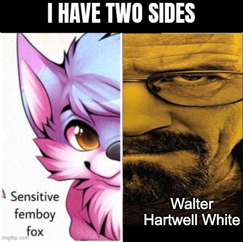Walter Hartwell White | made w/ Imgflip meme maker
