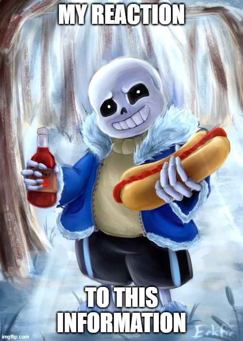 hey kid | MY REACTION; TO THIS INFORMATION | image tagged in sans undertale | made w/ Imgflip meme maker