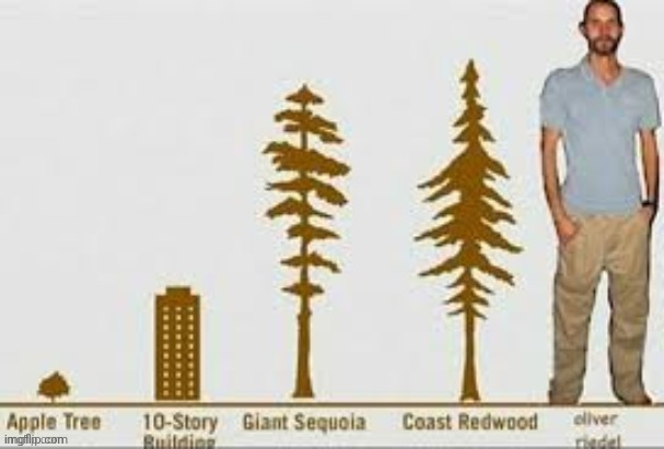 Oliver Riedel | made w/ Imgflip meme maker