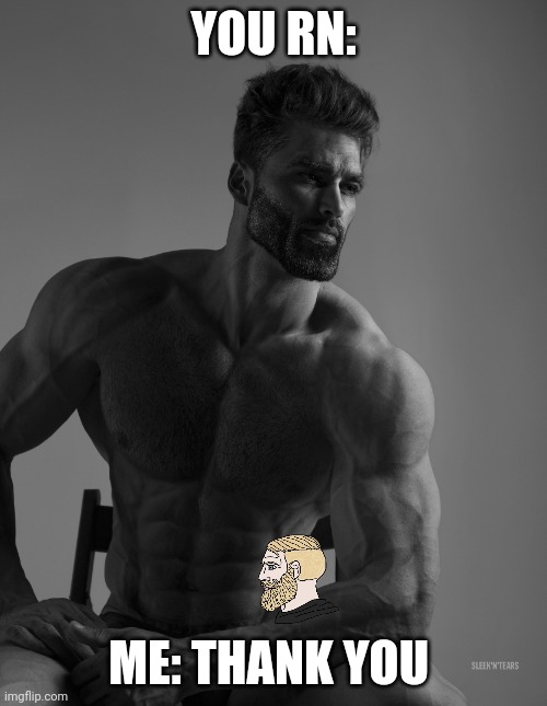 Giga Chad | YOU RN: ME: THANK YOU | image tagged in giga chad | made w/ Imgflip meme maker