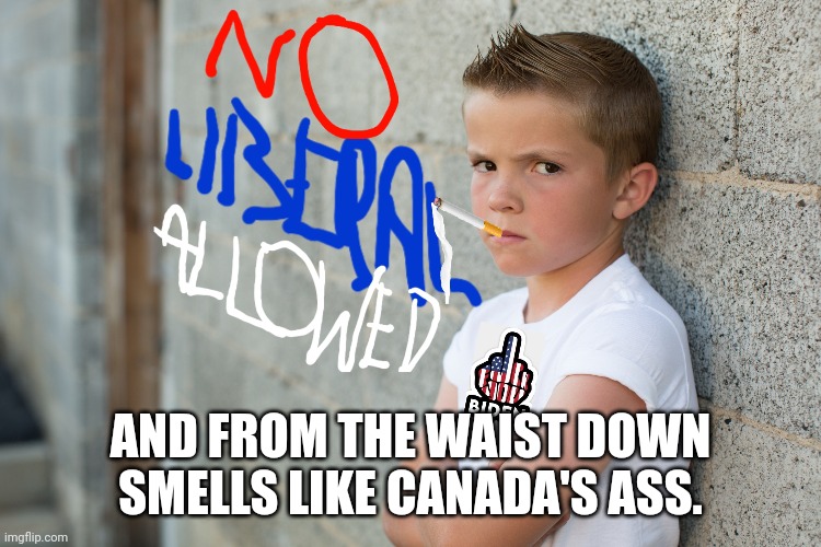 AND FROM THE WAIST DOWN SMELLS LIKE CANADA'S ASS. | made w/ Imgflip meme maker