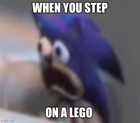 When you step on a Lego | WHEN YOU STEP; ON A LEGO | image tagged in lego,sanic,sonic,sampnimic,sackic,sock | made w/ Imgflip meme maker