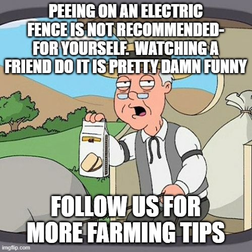 Pepperidge Farm Remembers | PEEING ON AN ELECTRIC FENCE IS NOT RECOMMENDED- FOR YOURSELF.  WATCHING A FRIEND DO IT IS PRETTY DAMN FUNNY; FOLLOW US FOR MORE FARMING TIPS | image tagged in memes,pepperidge farm remembers | made w/ Imgflip meme maker