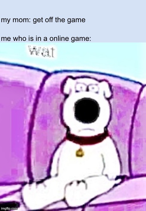 every mom ever | my mom: get off the game; me who is in a online game: | image tagged in wat dawg | made w/ Imgflip meme maker