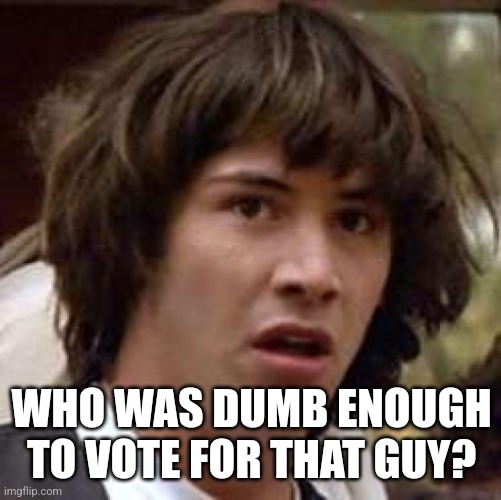 Conspiracy Keanu Meme | WHO WAS DUMB ENOUGH TO VOTE FOR THAT GUY? | image tagged in memes,conspiracy keanu | made w/ Imgflip meme maker