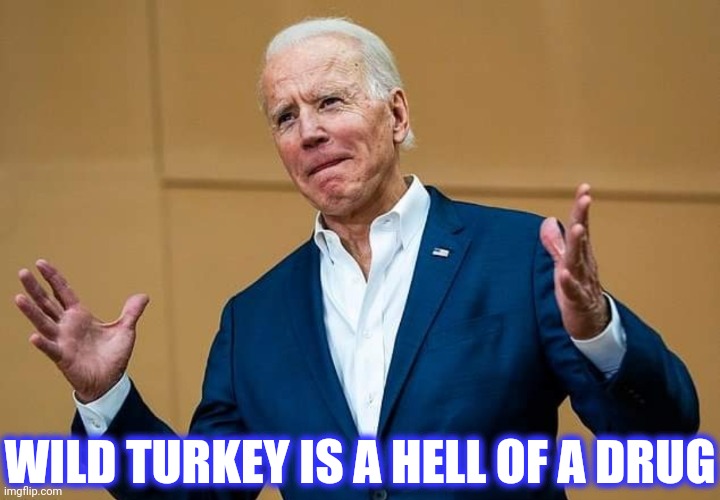 Joe Biden Drunken Uncle Telling A Story That Makes No Sense | WILD TURKEY IS A HELL OF A DRUG | image tagged in joe biden drunken uncle telling a story that makes no sense | made w/ Imgflip meme maker