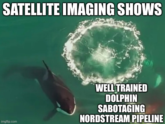 SATELLITE IMAGING SHOWS; WELL TRAINED DOLPHIN SABOTAGING NORDSTREAM PIPELINE | image tagged in memes,cute animals,funny,orca,dolphin,terrorism | made w/ Imgflip meme maker