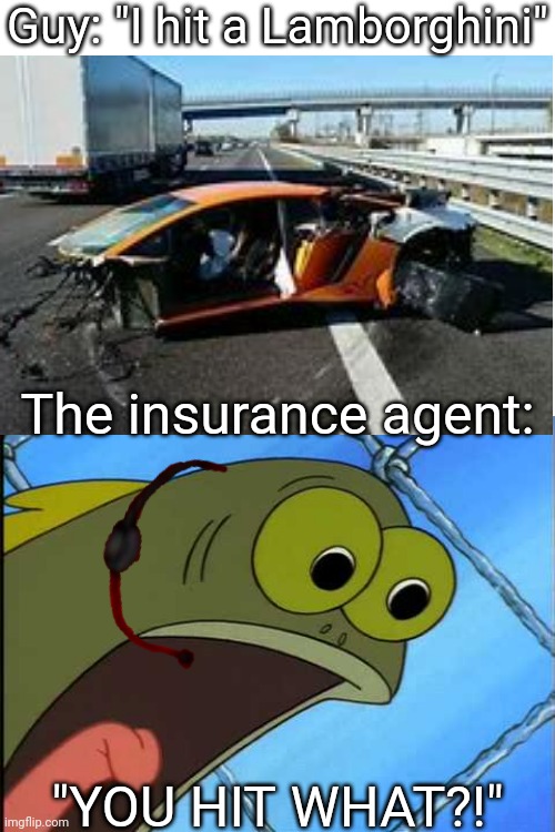 You what?! | Guy: "I hit a Lamborghini"; The insurance agent:; "YOU HIT WHAT?!" | image tagged in you what | made w/ Imgflip meme maker