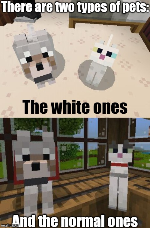 Two types of pets here | There are two types of pets:; The white ones; And the normal ones | image tagged in memes,cats,dogs,minecraft,minecraft memes,funny | made w/ Imgflip meme maker