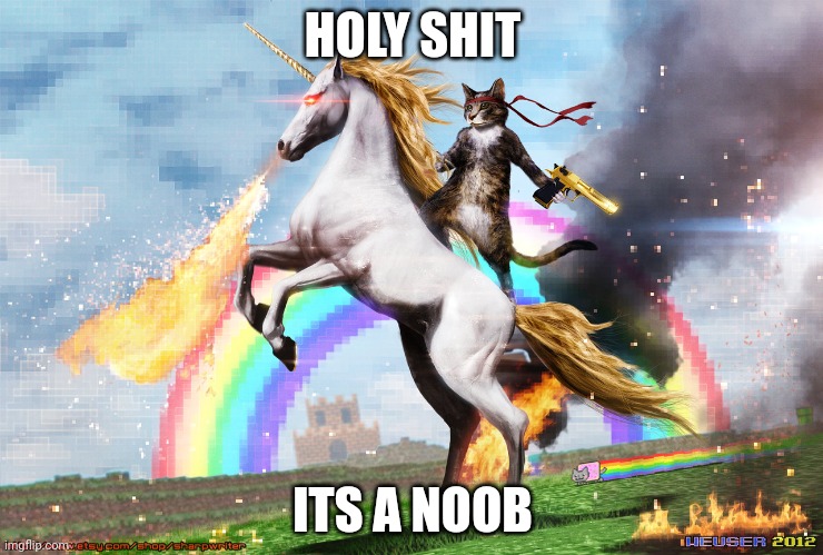Welcome to the internet | HOLY SHIT; ITS A NOOB | image tagged in welcome to the internet | made w/ Imgflip meme maker