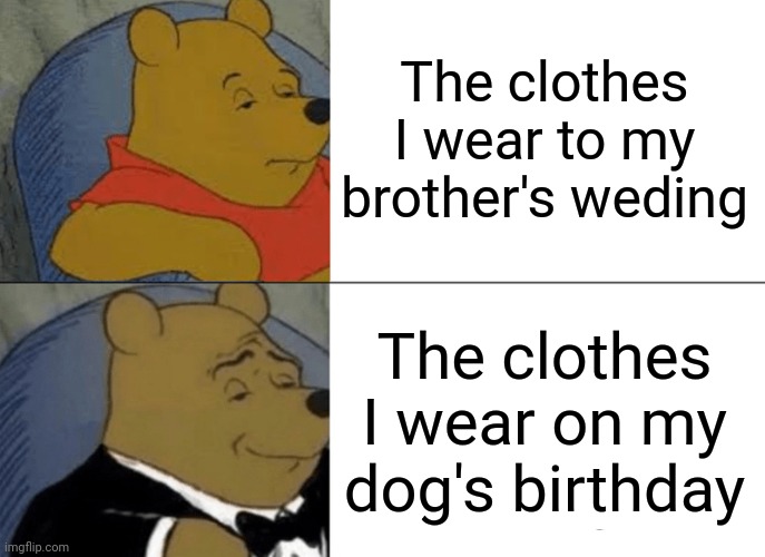 Tuxedo Winnie The Pooh Meme | The clothes I wear to my brother's weding; The clothes I wear on my dog's birthday | image tagged in memes,tuxedo winnie the pooh | made w/ Imgflip meme maker