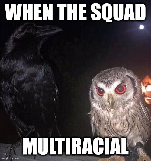 Multiracial squad | WHEN THE SQUAD; MULTIRACIAL | image tagged in racial harmony,humor,birds,friendship | made w/ Imgflip meme maker