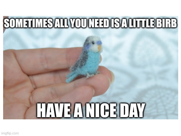 Little birb | SOMETIMES ALL YOU NEED IS A LITTLE BIRB; HAVE A NICE DAY | image tagged in birb | made w/ Imgflip meme maker