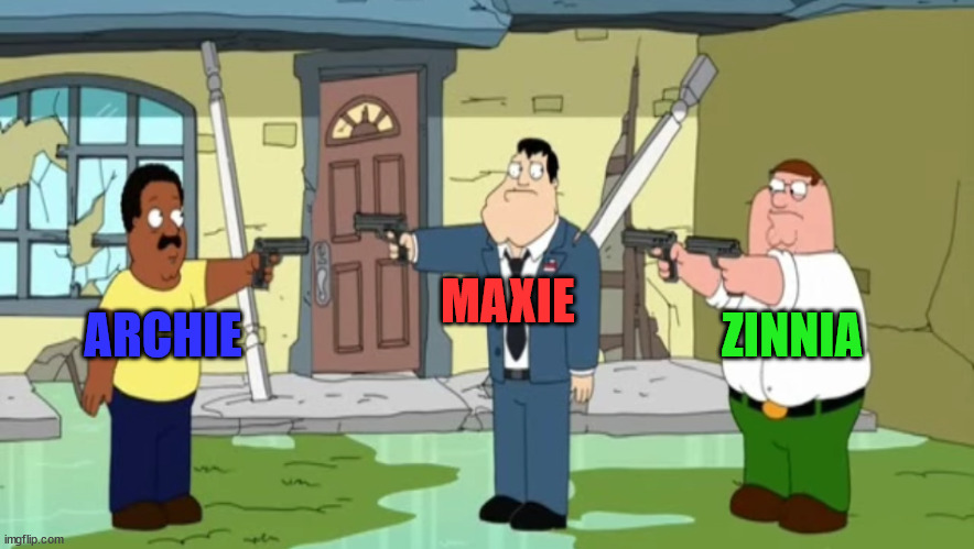 Archie VS Maxie VS Zinnia | MAXIE; ARCHIE; ZINNIA | image tagged in cleveland vs stan vs peter,memes,pokemon,anime,video games | made w/ Imgflip meme maker
