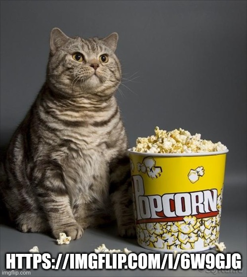Salem being good owner | HTTPS://IMGFLIP.COM/I/6W9GJG | image tagged in cat eating popcorn | made w/ Imgflip meme maker