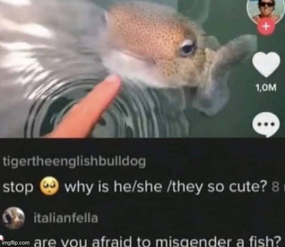 fr | made w/ Imgflip meme maker