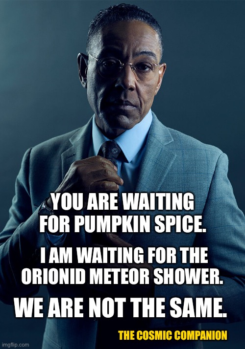 Gus Fring Orionid Meteor Shower | YOU ARE WAITING FOR PUMPKIN SPICE. I AM WAITING FOR THE ORIONID METEOR SHOWER. WE ARE NOT THE SAME. THE COSMIC COMPANION | image tagged in gus fring we are not the same | made w/ Imgflip meme maker