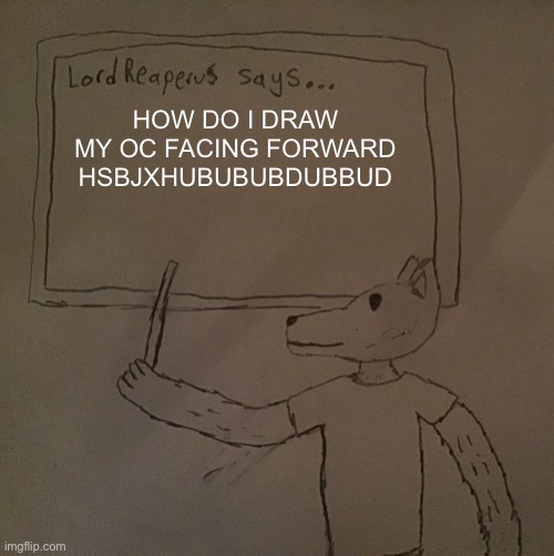 I can draw people facing forward but not my oc | HOW DO I DRAW MY OC FACING FORWARD HSBJXHUBUBUBDUBBUD | image tagged in lordreaperus says | made w/ Imgflip meme maker