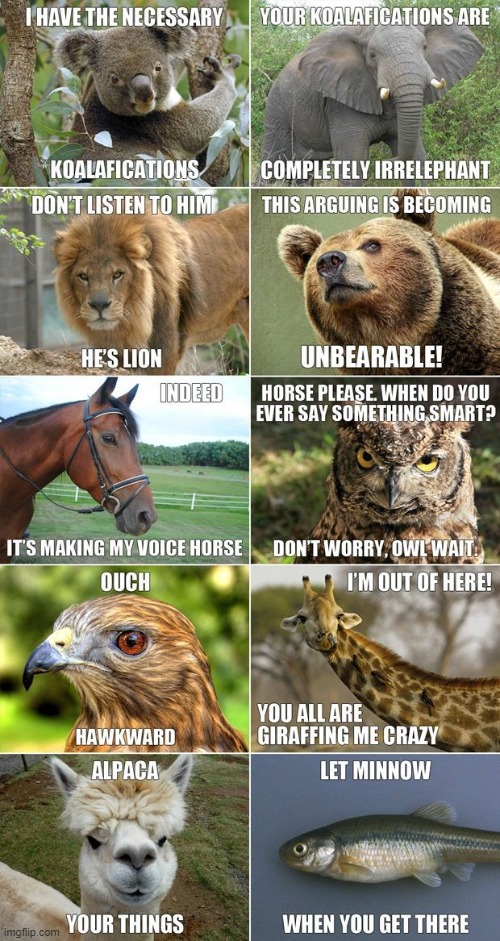 image tagged in puns | made w/ Imgflip meme maker