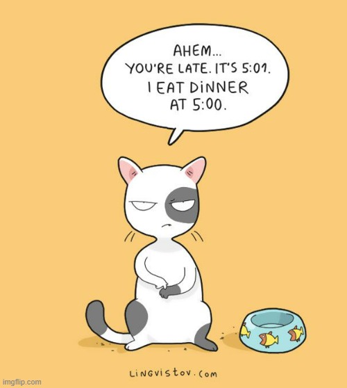A Cat's Way Of Thinking | image tagged in memes,comics,cats,dinner,you're,late | made w/ Imgflip meme maker