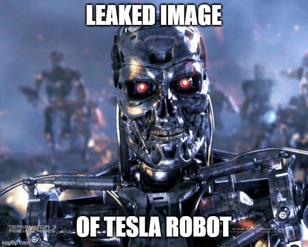 Tesla cars are foolish to have. LOL | LEAKED IMAGE; OF TESLA ROBOT | image tagged in terminator robot t-800,tesla,electric,energy | made w/ Imgflip meme maker