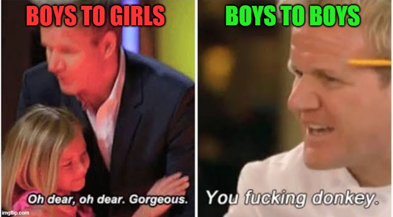 boys to boys vs boys to girls | BOYS TO GIRLS; BOYS TO BOYS | image tagged in gordon ramsay kids vs adults | made w/ Imgflip meme maker