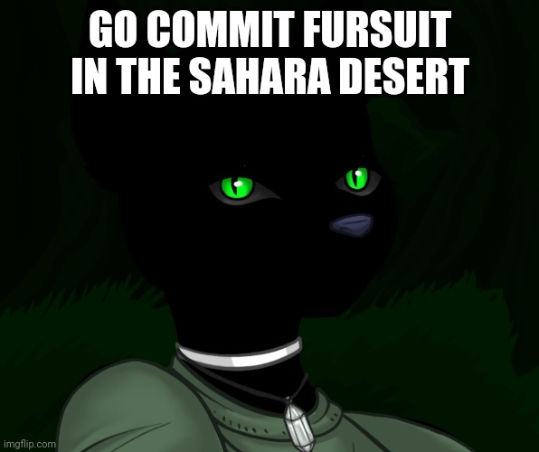My new panther fursona | GO COMMIT FURSUIT IN THE SAHARA DESERT | image tagged in my new panther fursona | made w/ Imgflip meme maker