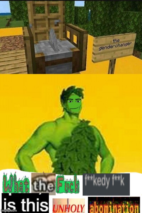 NO NO NO NO NO | image tagged in what the fuck fuckedy fuck is this unholy abomination | made w/ Imgflip meme maker