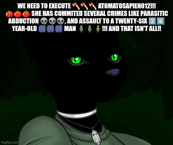 My new panther fursona | WE NEED TO EXECUTE 🪓🪓🪓 ATOMATOSAPIEN012!!! 🍅🍅🍅 SHE HAS COMMITED SEVERAL CRIMES LIKE PARASITIC ABDUCTION 👽👽👽, AND ASSAULT TO A TWENTY-SIX 2️⃣6️⃣ YEAR-OLD 🎆🎆🎆 MAN 🧍‍♂️🧍‍♂️🧍‍♂️!!! AND THAT ISN'T ALL‼ | image tagged in my new panther fursona | made w/ Imgflip meme maker