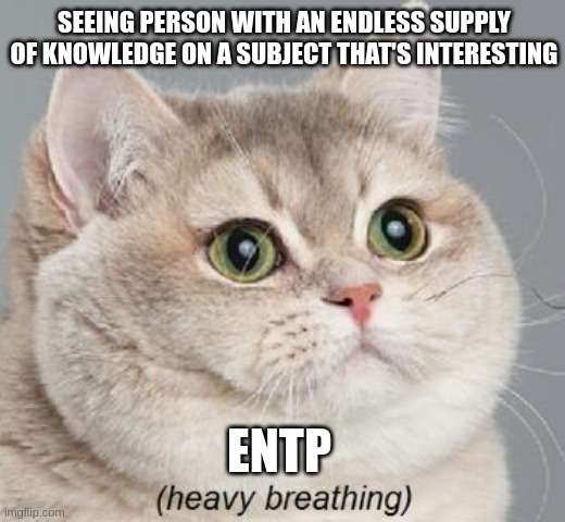 ENTP Attraction | SEEING PERSON WITH AN ENDLESS SUPPLY OF KNOWLEDGE ON A SUBJECT THAT'S INTERESTING; ENTP | image tagged in memes,heavy breathing cat,mbti,myers briggs,entp,personality | made w/ Imgflip meme maker