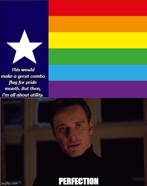 This would make a great combo flag for pride month. But then, I'm all about utility. PERFECTION | image tagged in texas flag refugees welcome,perfection,texas,lgbtq,pride,flag | made w/ Imgflip meme maker