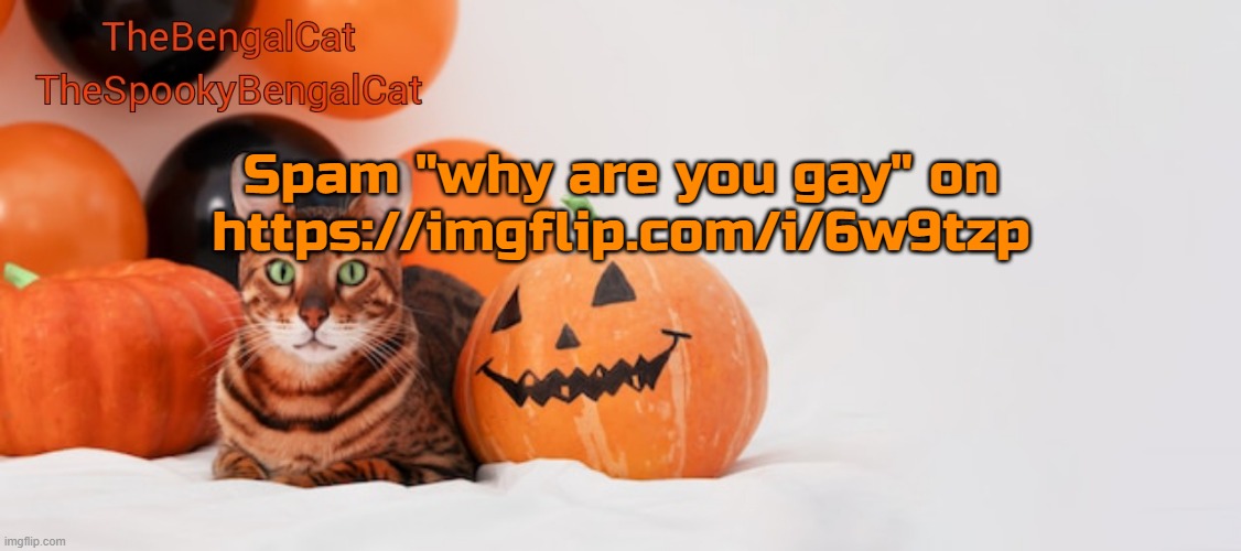 TheSpookyBengalCat annoucment template | Spam "why are you gay" on https://imgflip.com/i/6w9tzp | image tagged in thespookybengalcat annoucment template | made w/ Imgflip meme maker