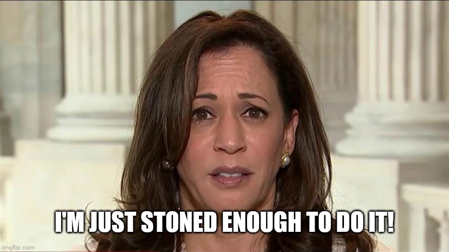 kamala harris | I'M JUST STONED ENOUGH TO DO IT! | image tagged in kamala harris | made w/ Imgflip meme maker