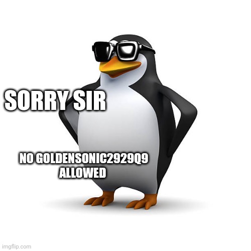 Cool Penguin | SORRY SIR; NO GOLDENSONIC2929Q9 ALLOWED | image tagged in cool penguin | made w/ Imgflip meme maker