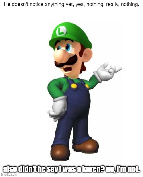 COSTUME LUIGI | He doesn't notice anything yet, yes, nothing, really, nothing. also didn't he say I was a karen? no, I'm not. | image tagged in logic luigi | made w/ Imgflip meme maker