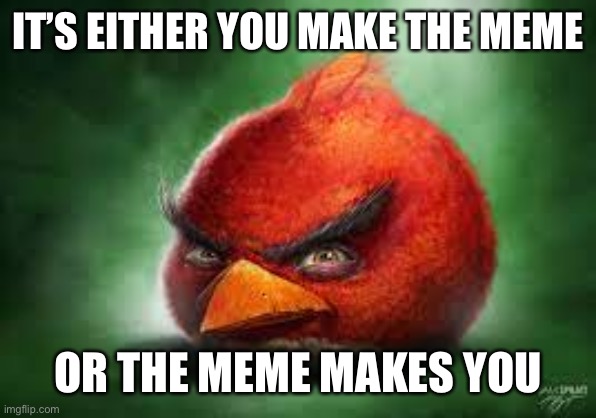 yes | IT’S EITHER YOU MAKE THE MEME; OR THE MEME MAKES YOU | image tagged in realistic red angry birds,gaming | made w/ Imgflip meme maker
