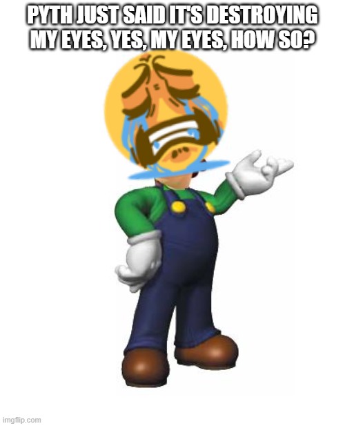 ANNNNNNNNNNNNNNNNNNNNNNNNNNNNNNNN???????????? | PYTH JUST SAID IT'S DESTROYING MY EYES, YES, MY EYES, HOW SO? | image tagged in logic luigi | made w/ Imgflip meme maker