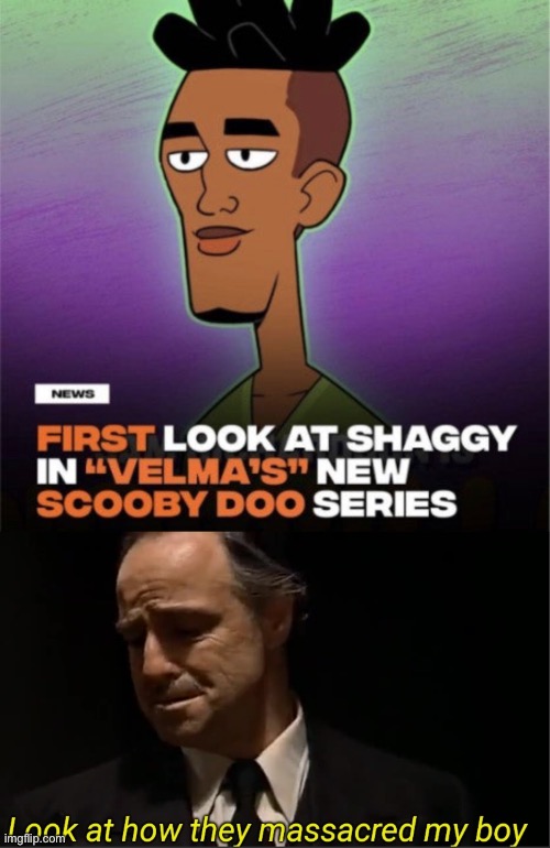 NOOOOO SHAGGY | image tagged in look at how they massacred my boy,memes,unfunny | made w/ Imgflip meme maker