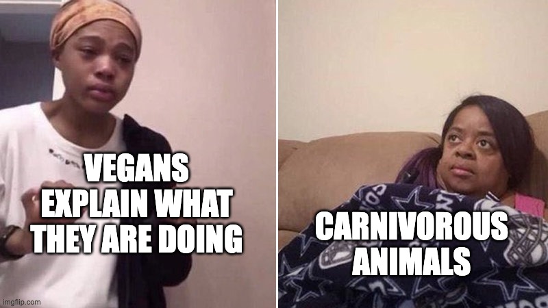 well i eat meat HA | VEGANS EXPLAIN WHAT THEY ARE DOING; CARNIVOROUS ANIMALS | image tagged in me explaining to my mom | made w/ Imgflip meme maker