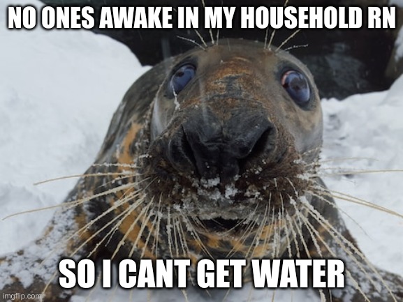 anyway, gm | NO ONES AWAKE IN MY HOUSEHOLD RN; SO I CANT GET WATER | image tagged in his name's bim bim | made w/ Imgflip meme maker