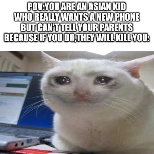 SAD TITLE | POV:YOU ARE AN ASIAN KID WHO REALLY WANTS A NEW PHONE BUT CAN'T TELL YOUR PARENTS BECAUSE IF YOU DO,THEY WILL KILL YOU: | image tagged in asian,sad cat,sad,memes,relatable | made w/ Imgflip meme maker