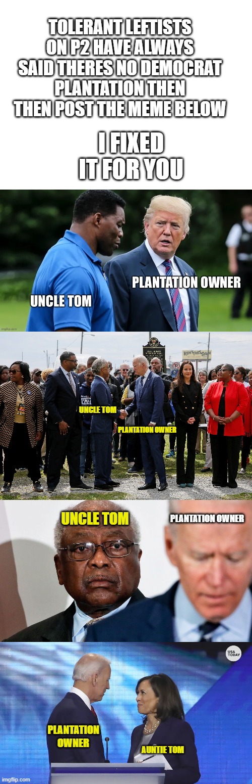 Democrat Plantation | TOLERANT LEFTISTS ON P2 HAVE ALWAYS SAID THERES NO DEMOCRAT PLANTATION THEN THEN POST THE MEME BELOW; I FIXED IT FOR YOU; UNCLE TOM; PLANTATION OWNER; UNCLE TOM; PLANTATION OWNER; PLANTATION OWNER; AUNTIE TOM | image tagged in democrat plantation | made w/ Imgflip meme maker