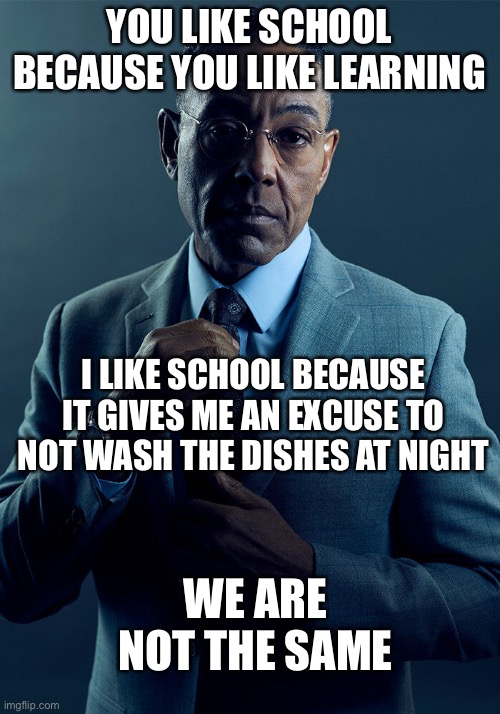 Gus Fring we are not the same | YOU LIKE SCHOOL BECAUSE YOU LIKE LEARNING; I LIKE SCHOOL BECAUSE IT GIVES ME AN EXCUSE TO NOT WASH THE DISHES AT NIGHT; WE ARE NOT THE SAME | image tagged in gus fring we are not the same | made w/ Imgflip meme maker