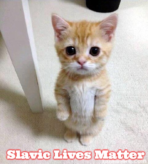 Cute Cat Meme | Slavic Lives Matter | image tagged in memes,cute cat,slavic,slm,naacp | made w/ Imgflip meme maker